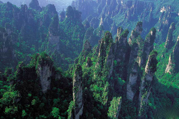 Tianmenshan Mountain Stone Forest